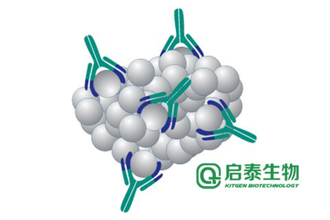 人才理念